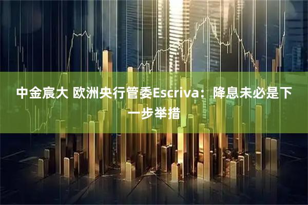 中金宸大 欧洲央行管委Escriva：降息未必是下一步举措